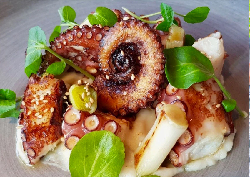 octopus barceloneta