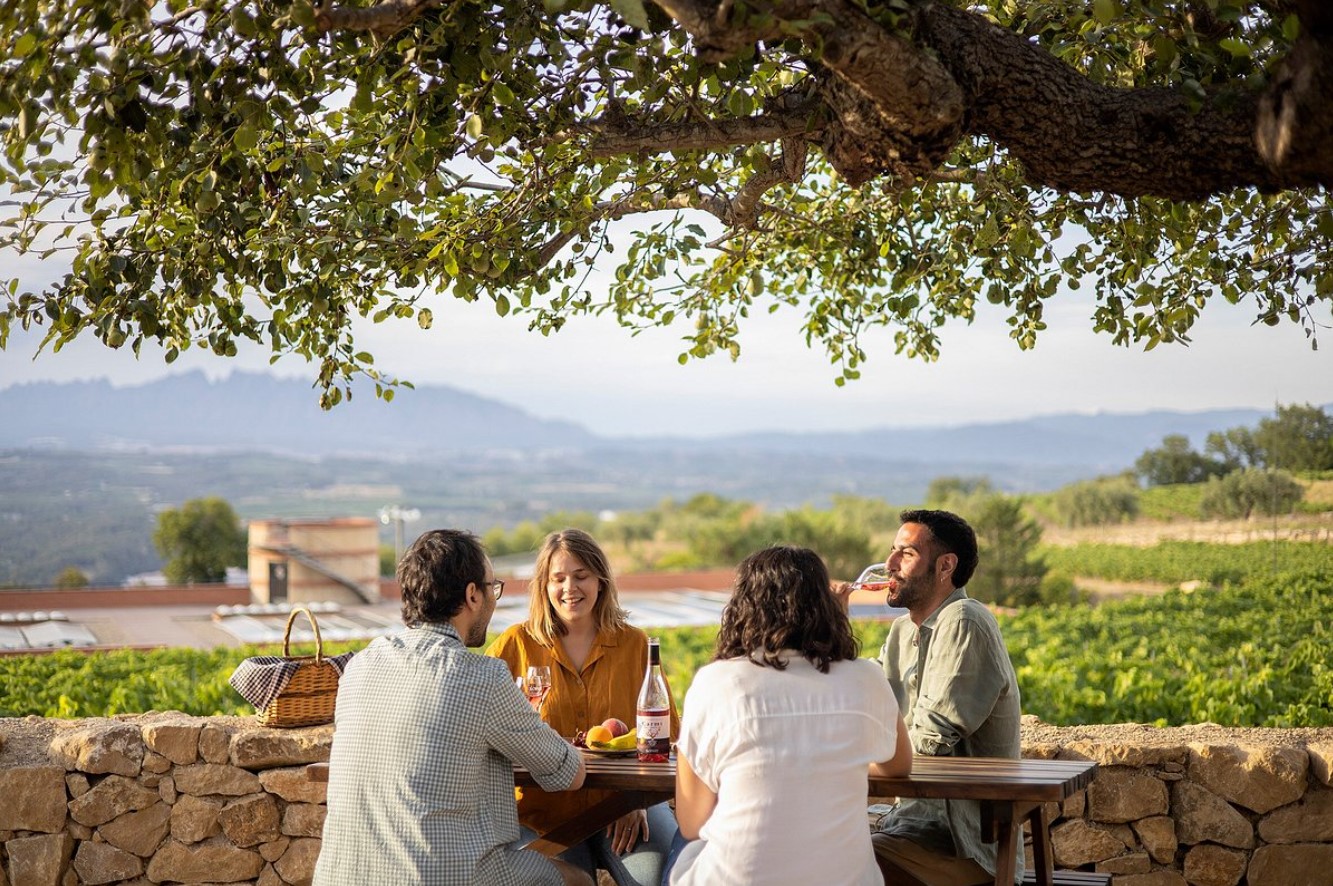 Read more about the article The Best Wineries, Vineyards and Wine Tasting near Barcelona in 2023