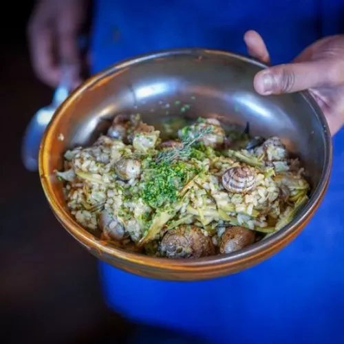 fismuler barcelona 2