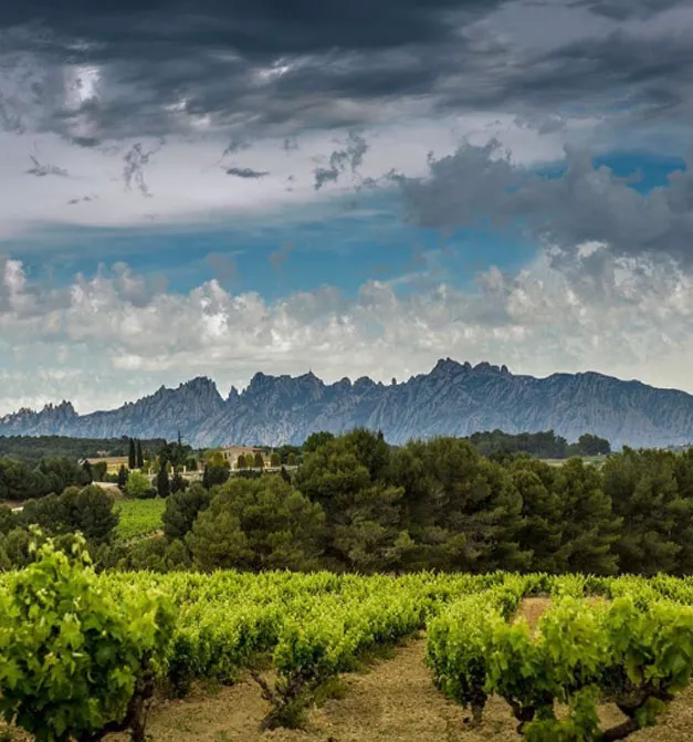 Casa Anamaria Hotel vistas