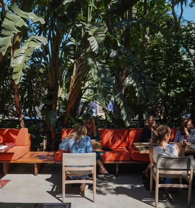 Chandigarh cafe terraza Sarria