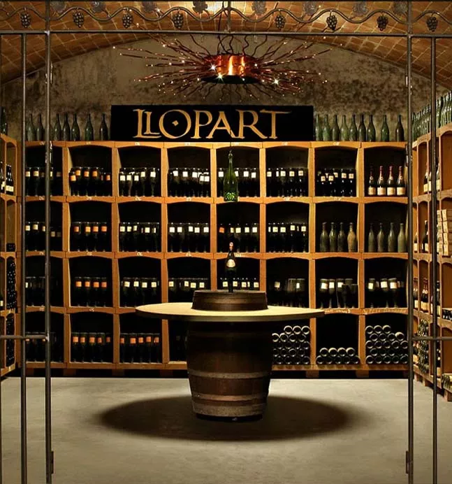 Qué Hacer Semana Santa 2024