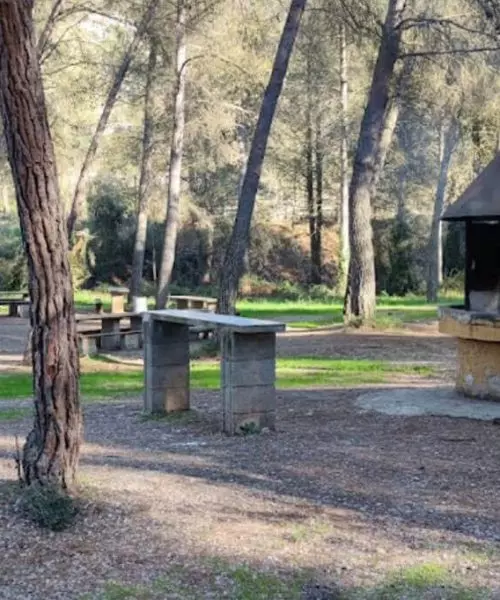 merenderos con barbacoas en Barcelona