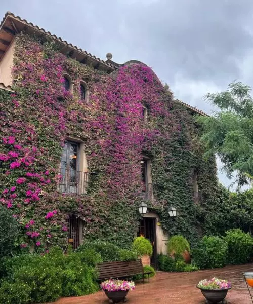menú de calçots en Barcelona