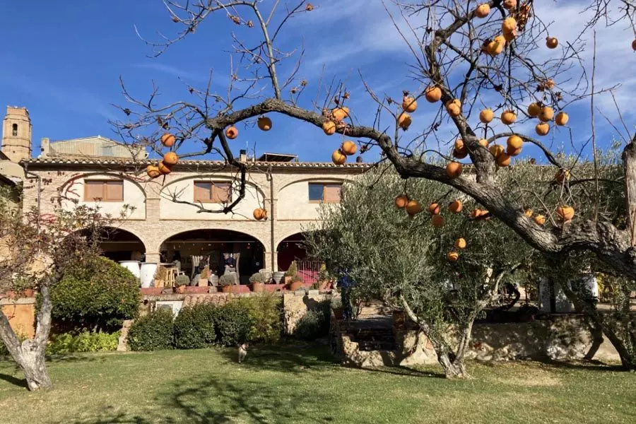 Clos Figueres Bodega Cataluna