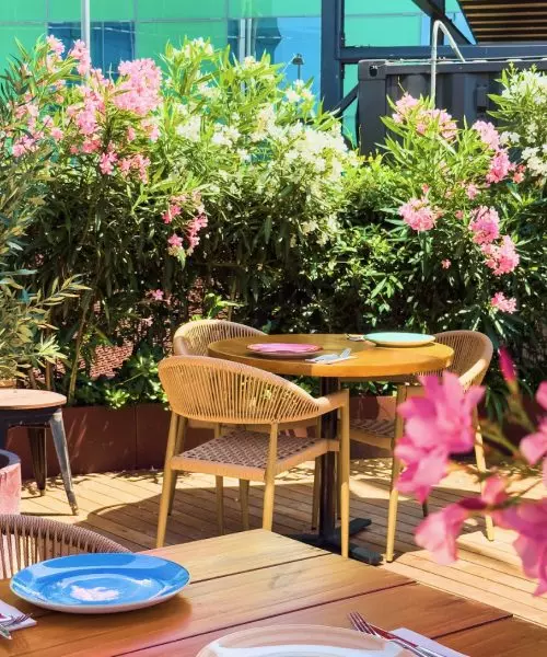 Mana 75 Terraza