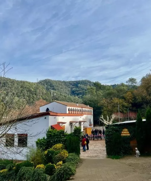 calçots en Barcelona