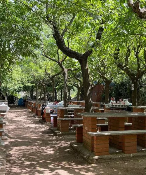 picnics en barcelona