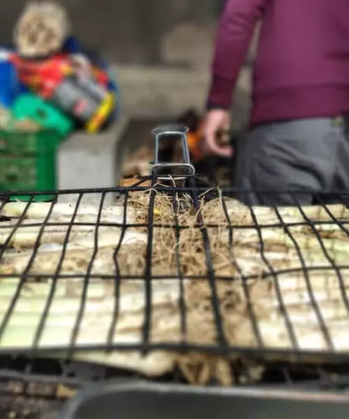 hacer barbacoas Barcelona