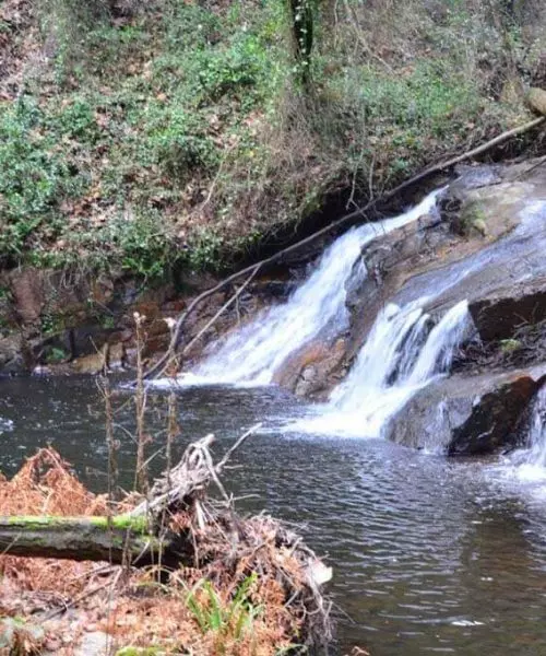 parque de barbacoa Barcelona
