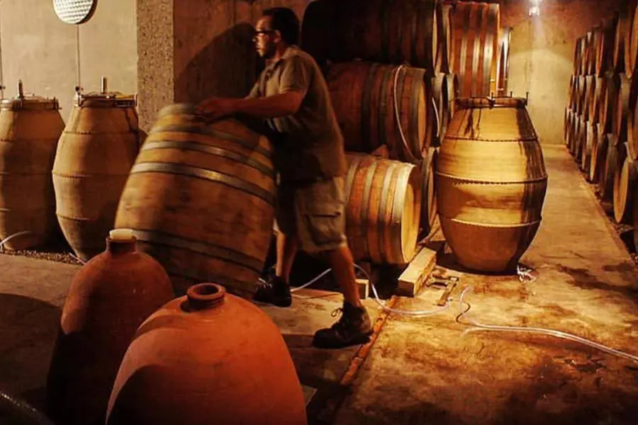 Venus la Universal Bodega