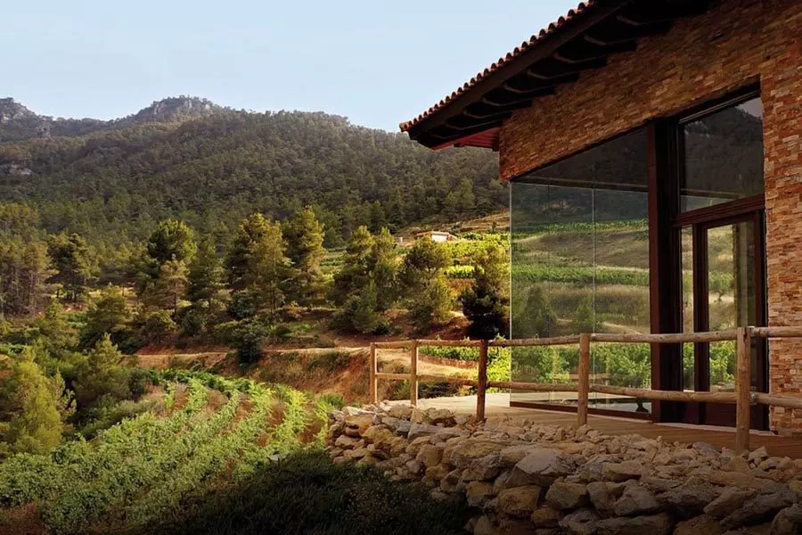 Vinyes Domenech Vinedo Cataluna