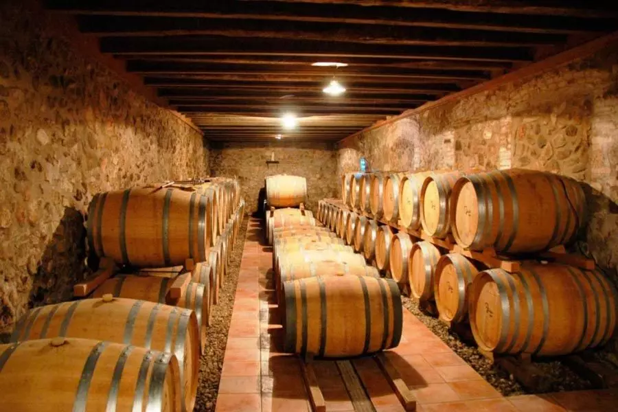 mas foraster vinedo barcelona